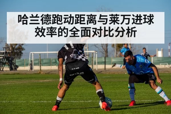 哈兰德跑动距离与莱万进球效率的全面对比分析
