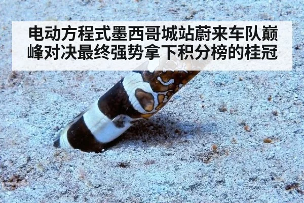 电动方程式墨西哥城站蔚来车队巅峰对决最终强势拿下积分榜的桂冠