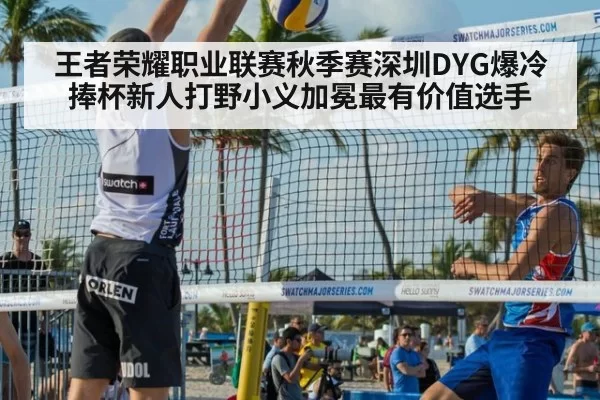 王者荣耀职业联赛秋季赛深圳DYG爆冷捧杯新人打野小义加冕最有价值选手